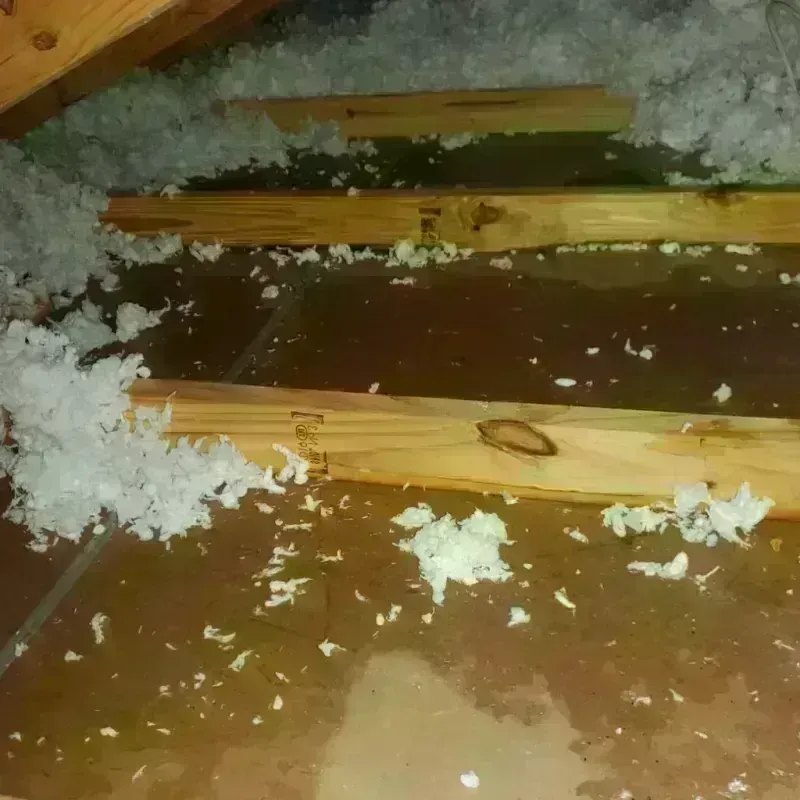 Attic Water Damage in Newton, KS