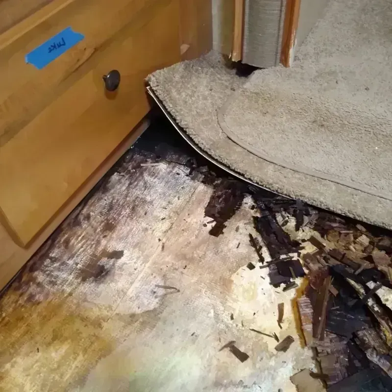 Wood Floor Water Damage in Newton, KS